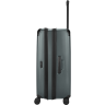 Чемодан VICTORINOX SPECTRA 3.0 EXPANDABLE LARGE CASE Большой 653158